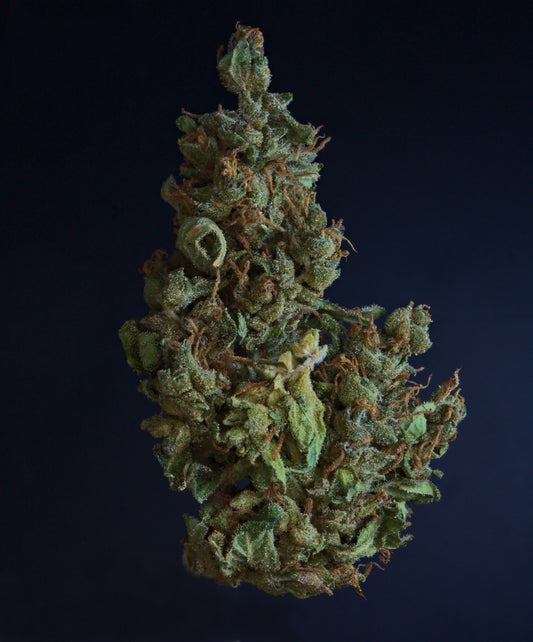 Aphria Strong 9 (Bienville Jean Guy) Review