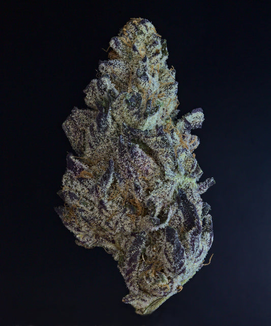 Cannamedical Indica Forte (El Jefe) Review