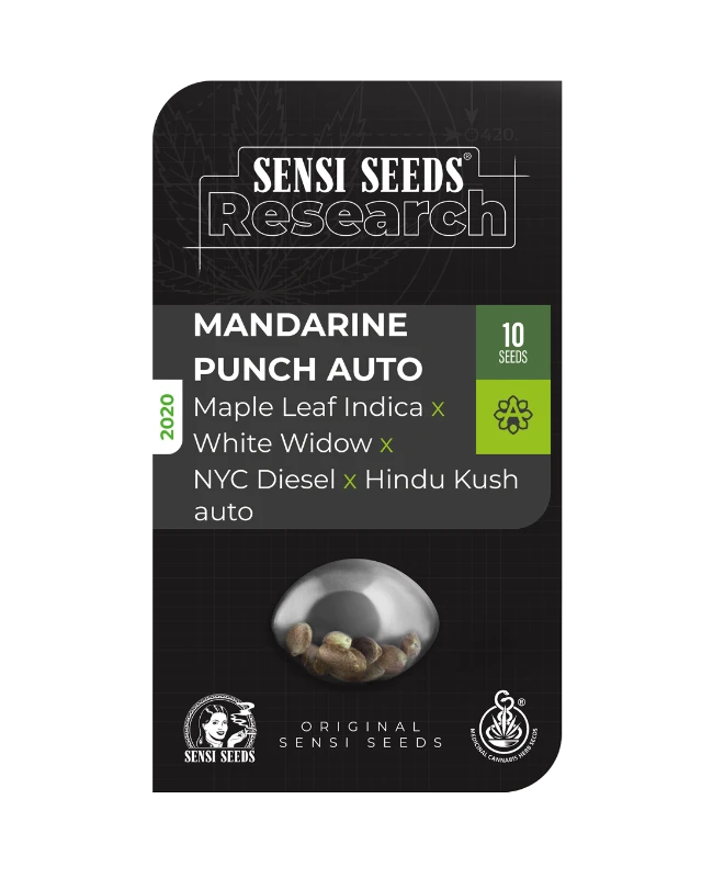 Mandarine Punch Auto - Sensi Seeds