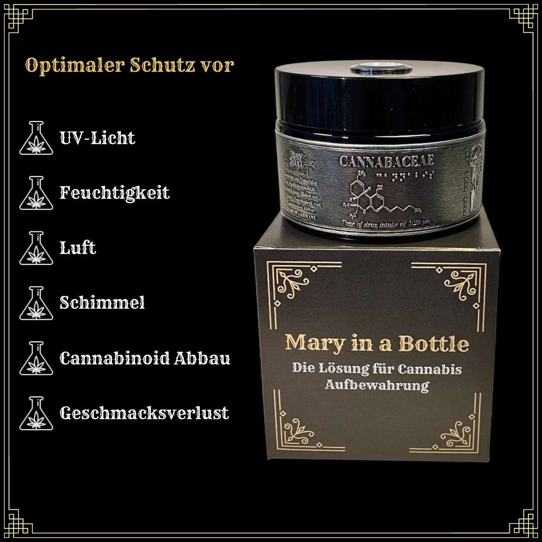 Mary N°420