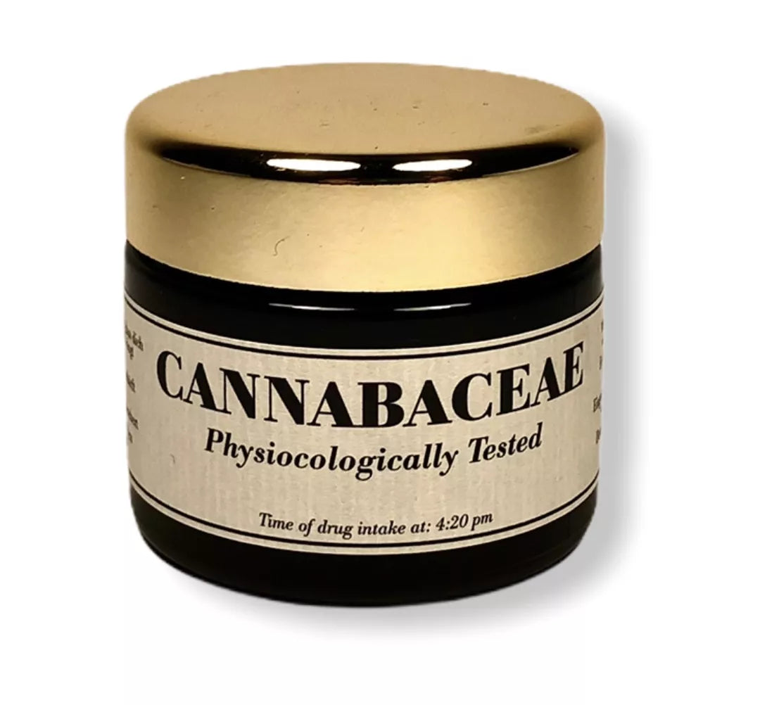 Mary Pocket ‚Purple‘