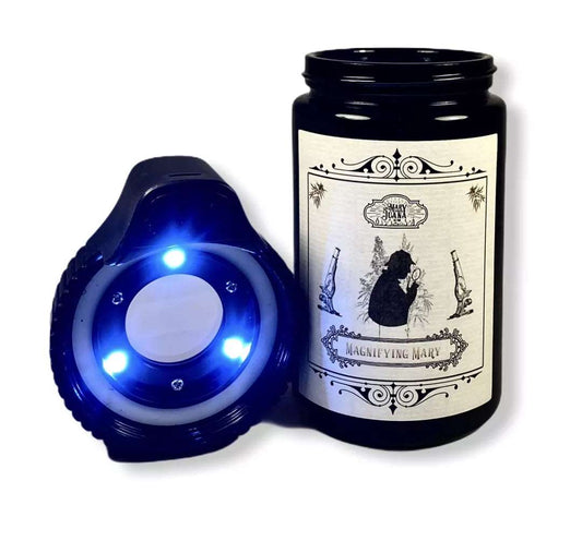 Magnifying Mary ‚Mr. Holmes‘