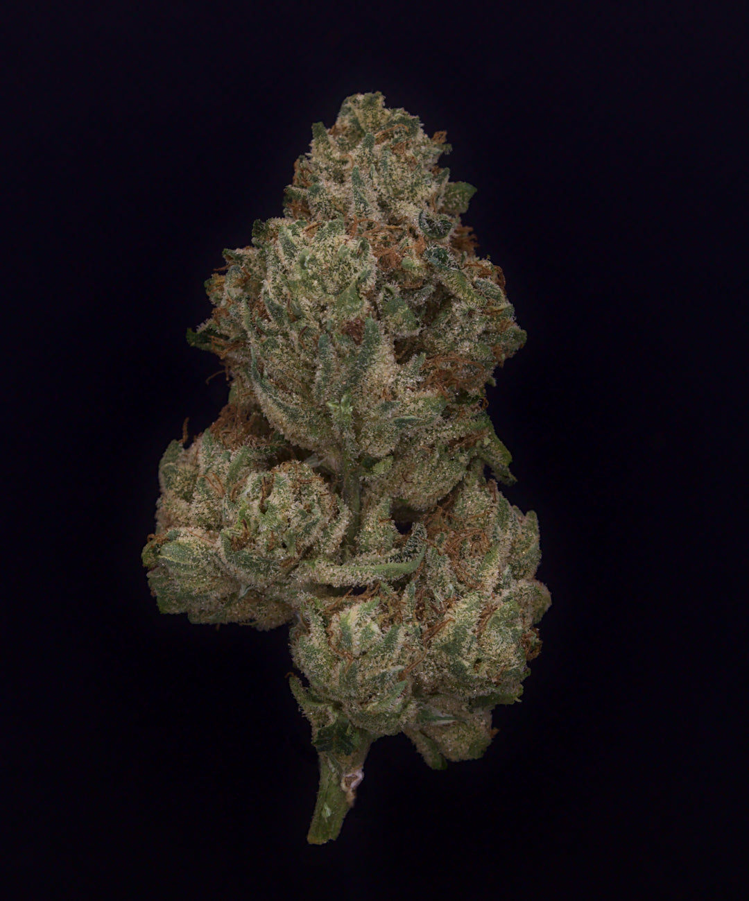 Cannamedical Sativa Classic (Tangei Chem) Review