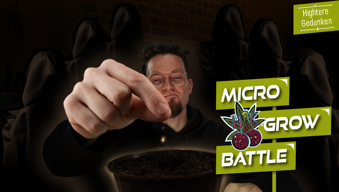 MicroGrow Battle 2025 (Staffel 1): 1-Liter-Grow, Wirkstoff-Check & Effizienz