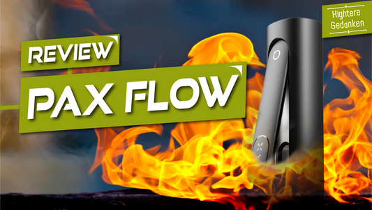 PAX Flow im Langzeittest – Design, Dampf & Alltagstauglichkeit