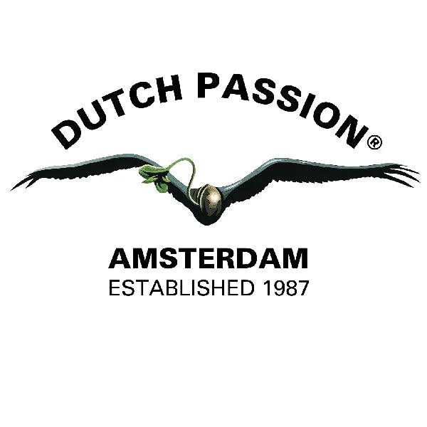 Dutch Passion