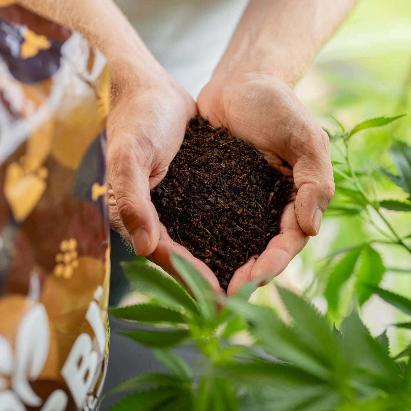 Herbis Living Soil